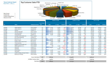 Nav081 Professional Top Customer Sales Analysis